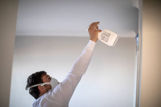 Best Best Mold Removal Companies  in Monrovia, CA