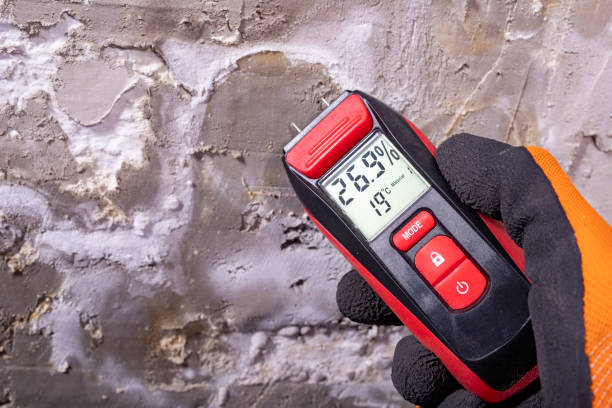 Best Mold Testing and Removal  in Monrovia, CA
