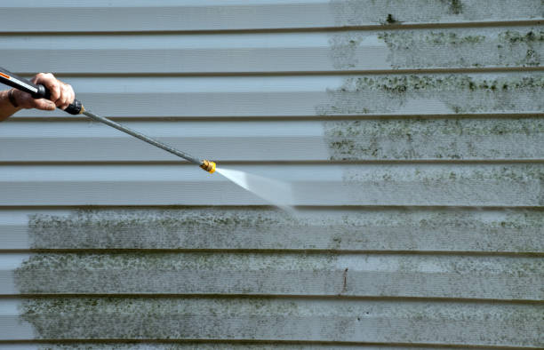 Best Mold Damage Repair  in Monrovia, CA