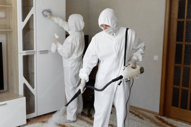 Best Toxic Mold Removal  in Monrovia, CA