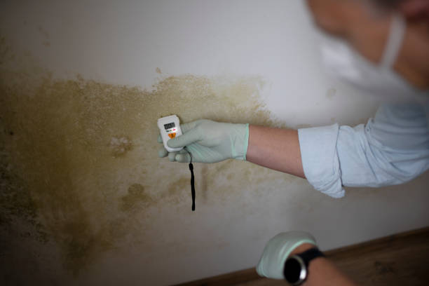 Water Damage Restoration in Monrovia, CA