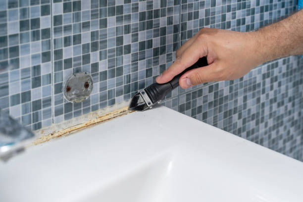 Best Mold Inspection  in Monrovia, CA