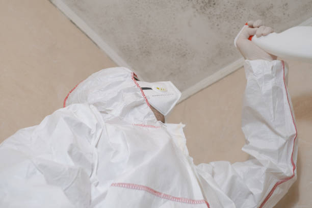 Best Toxic Mold Removal  in Monrovia, CA
